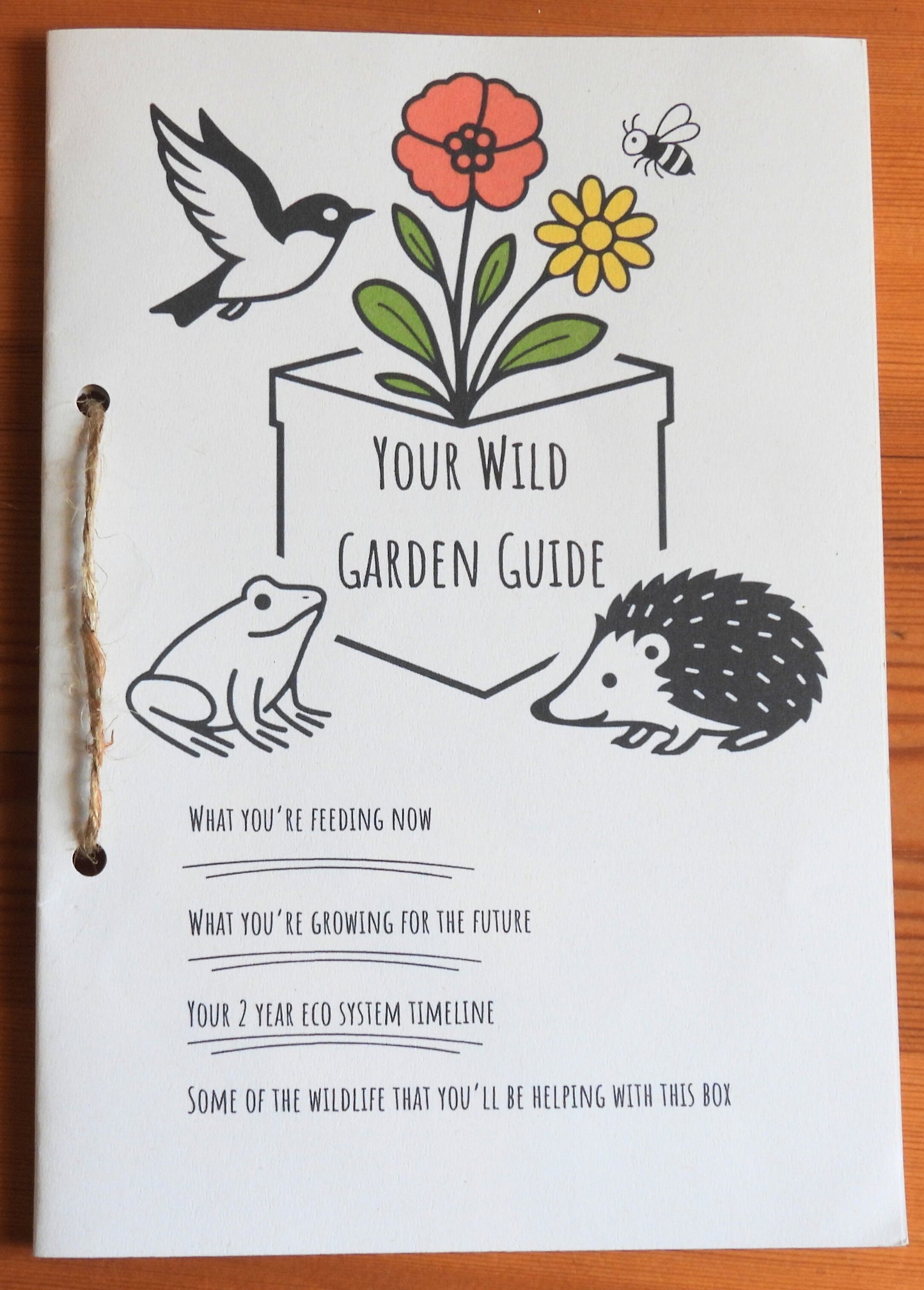 The Wild Autumn Box - Autumnal Wildflower Seedballs, Bird Feed & Hedgehog Food Gift Set