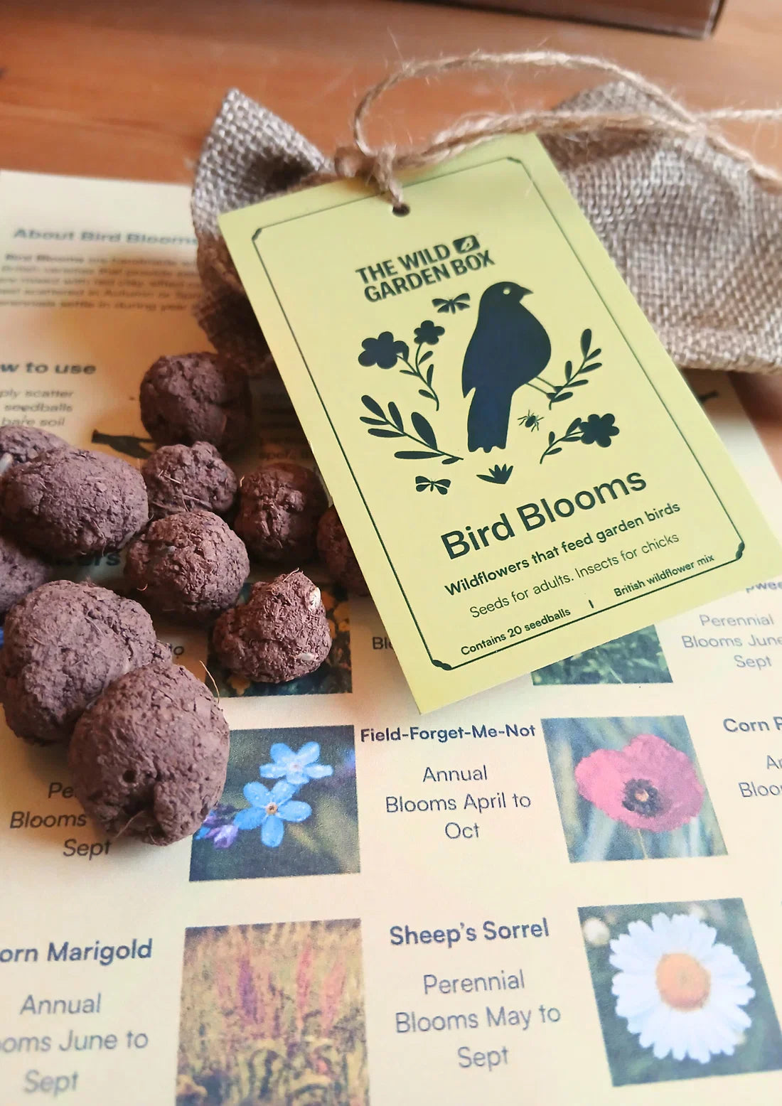 What to Feed Birds in Summer in the UK: Why Wildflowers Are the Best Natural Alternative to Seed Feeders