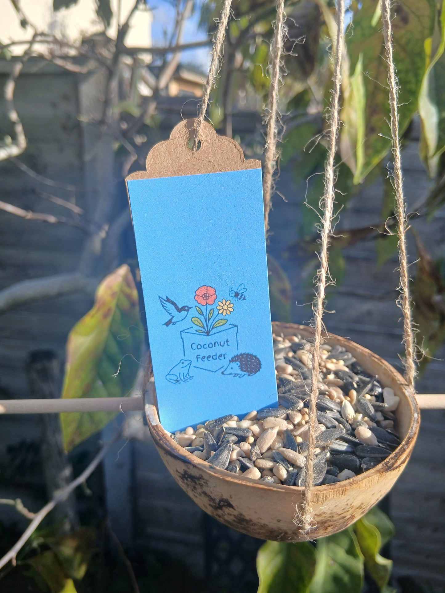 The Wild Welcome Box