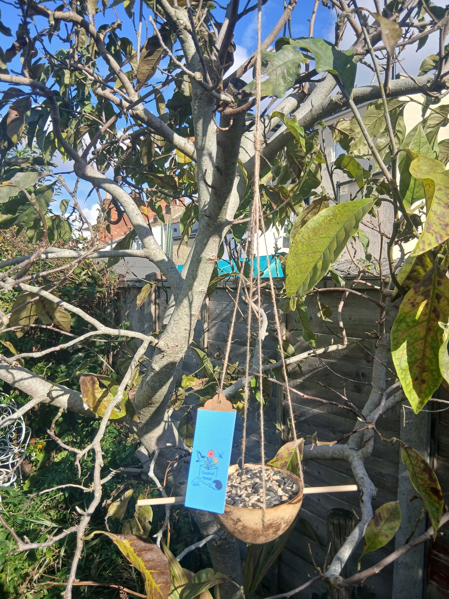 The Wild Welcome Box