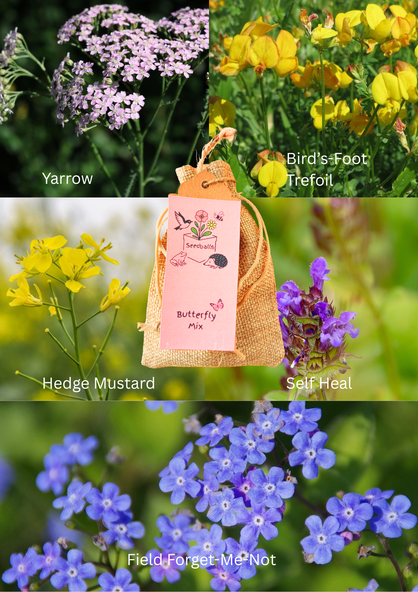 Autumn Seedball Collection