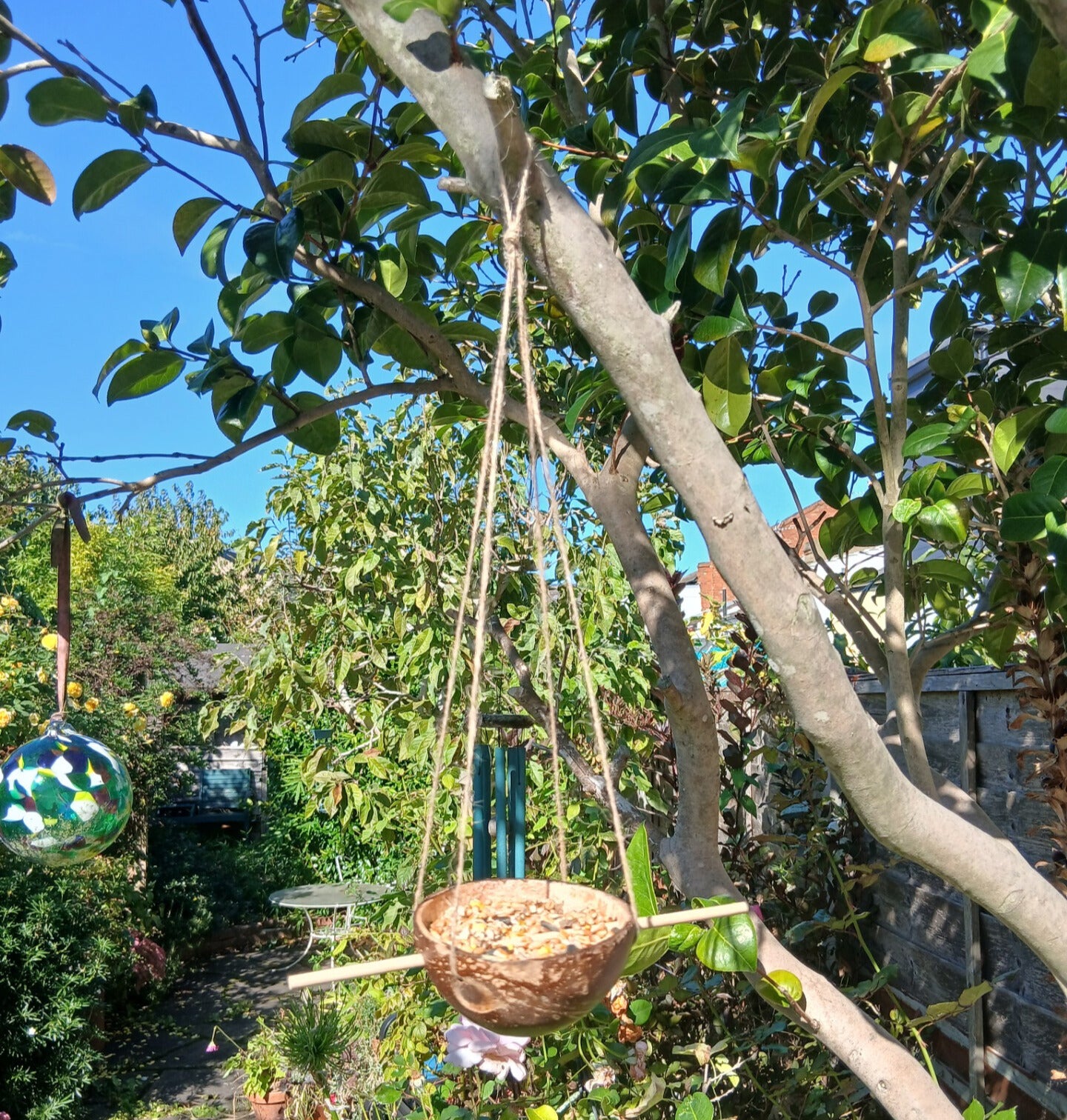 The Wild Autumn Box - Autumnal Wildflower Seedballs, Bird Feed & Hedgehog Food Gift Set