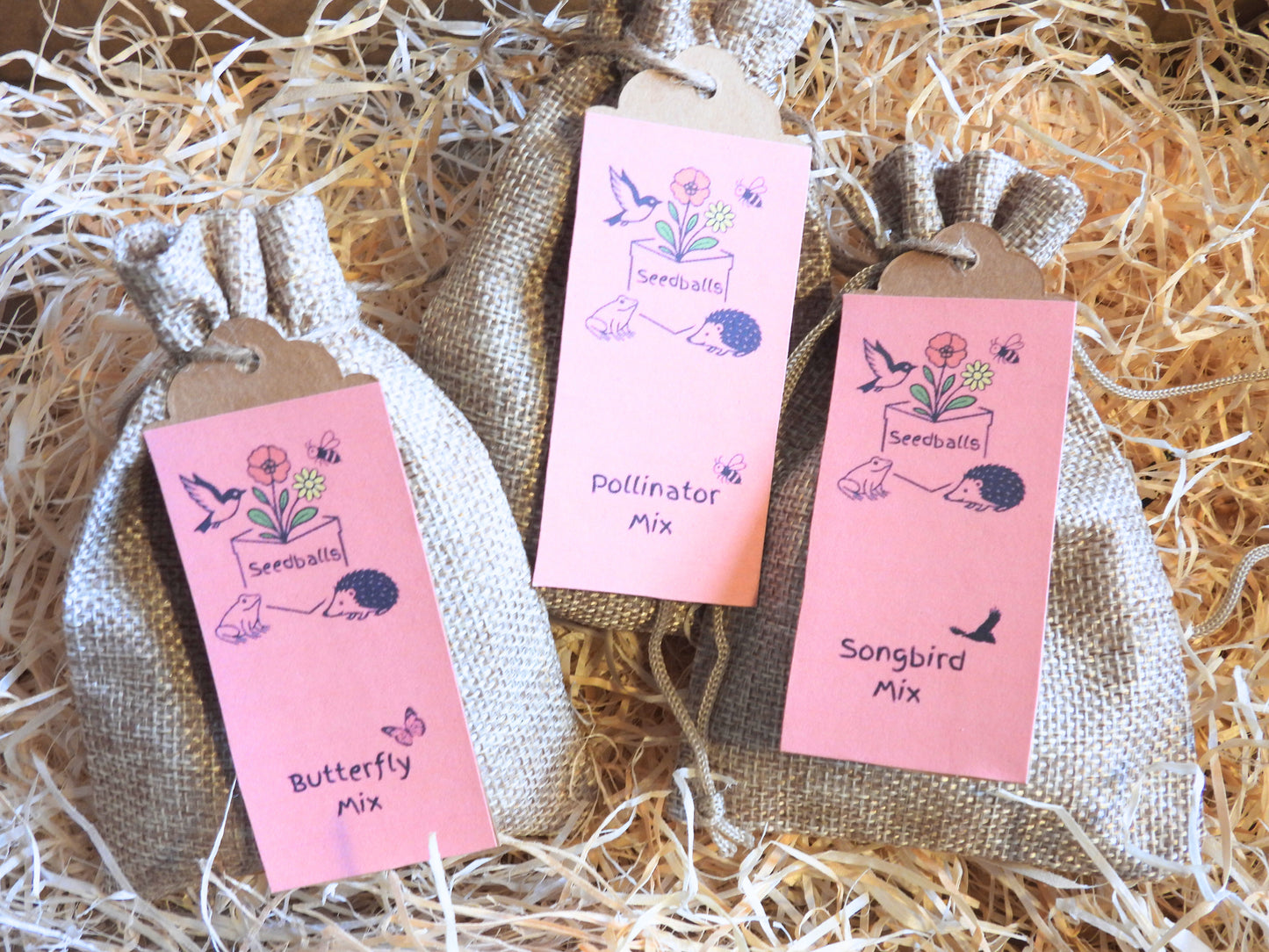 Autumn Seedball Collection