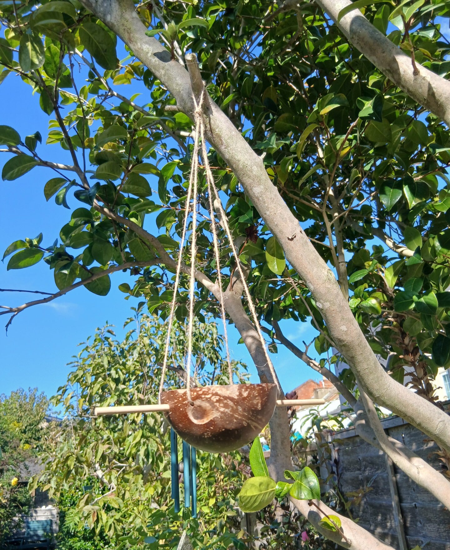 The Wild Autumn Box - Autumnal Wildflower Seedballs, Bird Feed & Hedgehog Food Gift Set