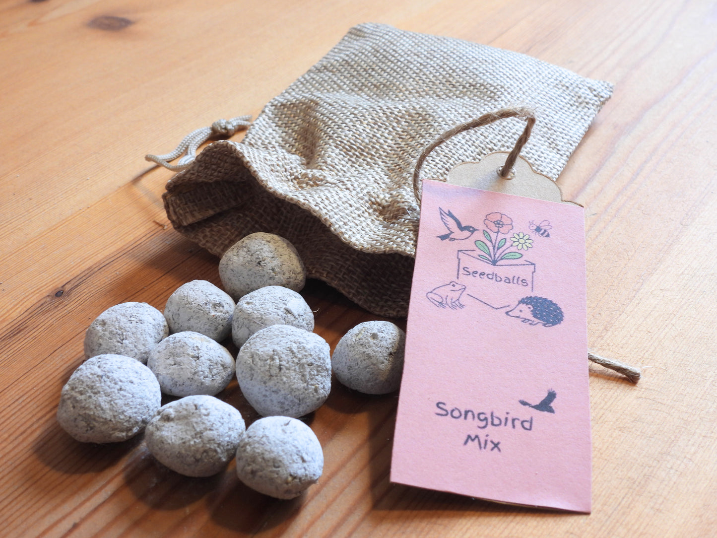 The Wild Autumn Box - Autumnal Wildflower Seedballs, Bird Feed & Hedgehog Food Gift Set