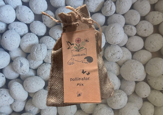 Pollinator Mix Seedballs