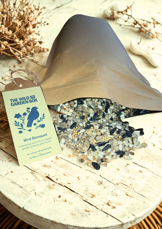 Premium seasonal bird seed mix