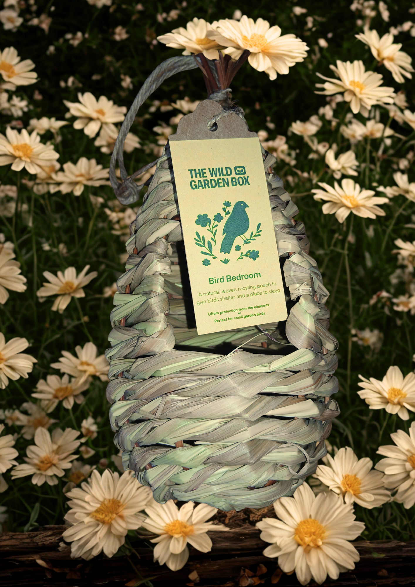 The Bird Haven Box
