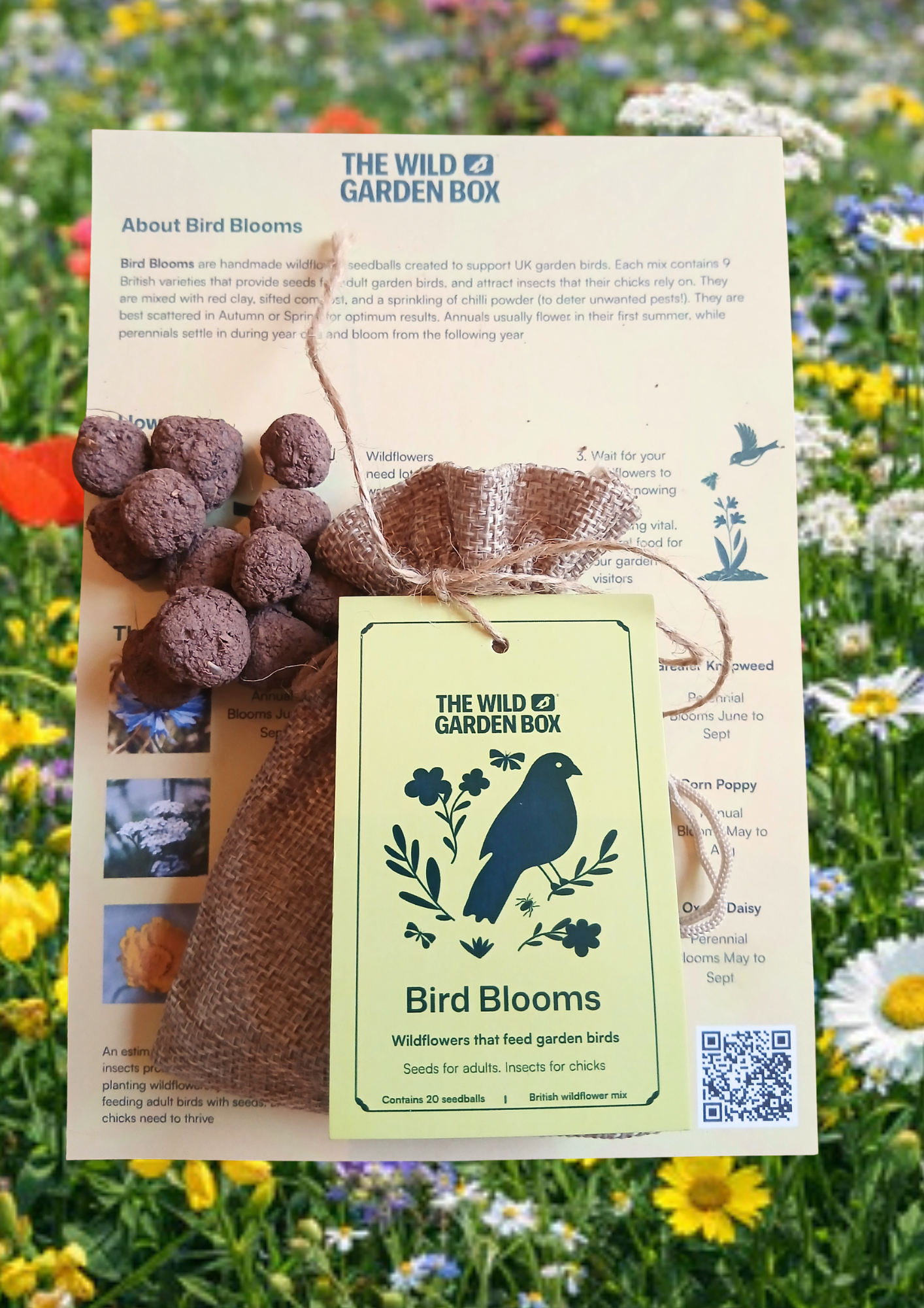 Bird Blooms - wildflower seedballs that produce natural food for garden birds