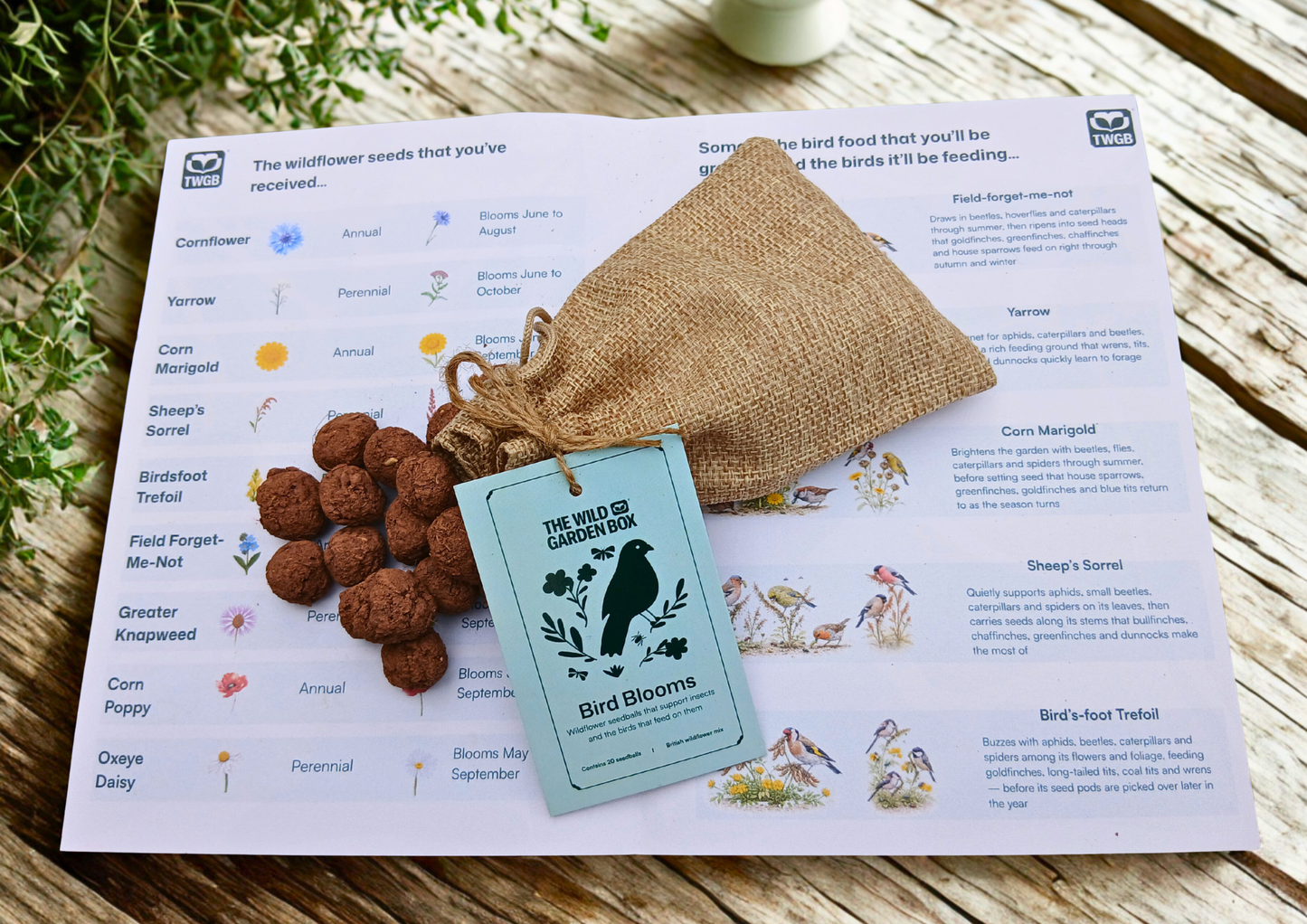 The Bird and Blooms Box