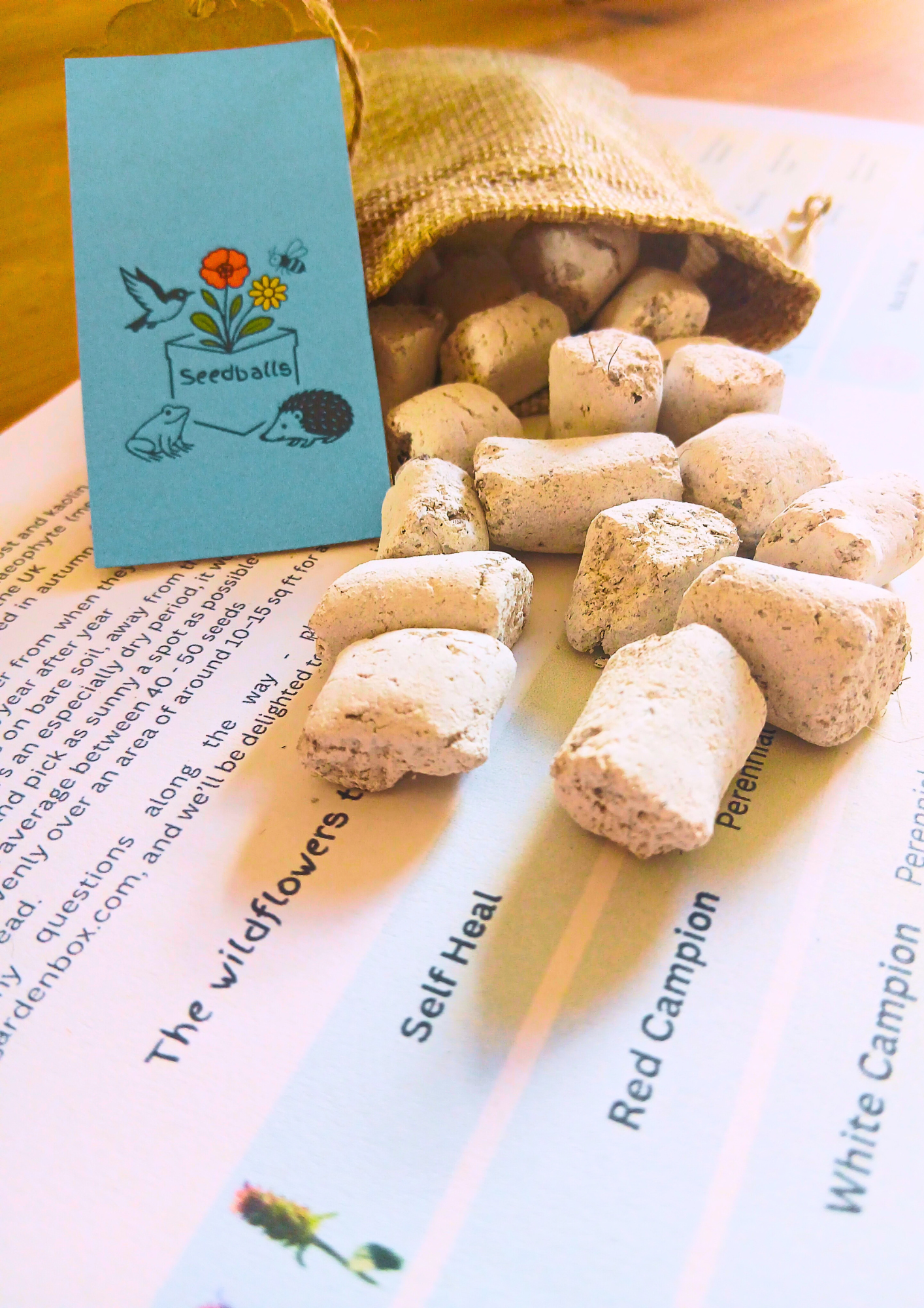 The Wild Welcome Box