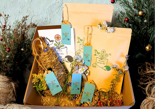 The Wild Winter Bird Box - turn your garden into a haven for birds!