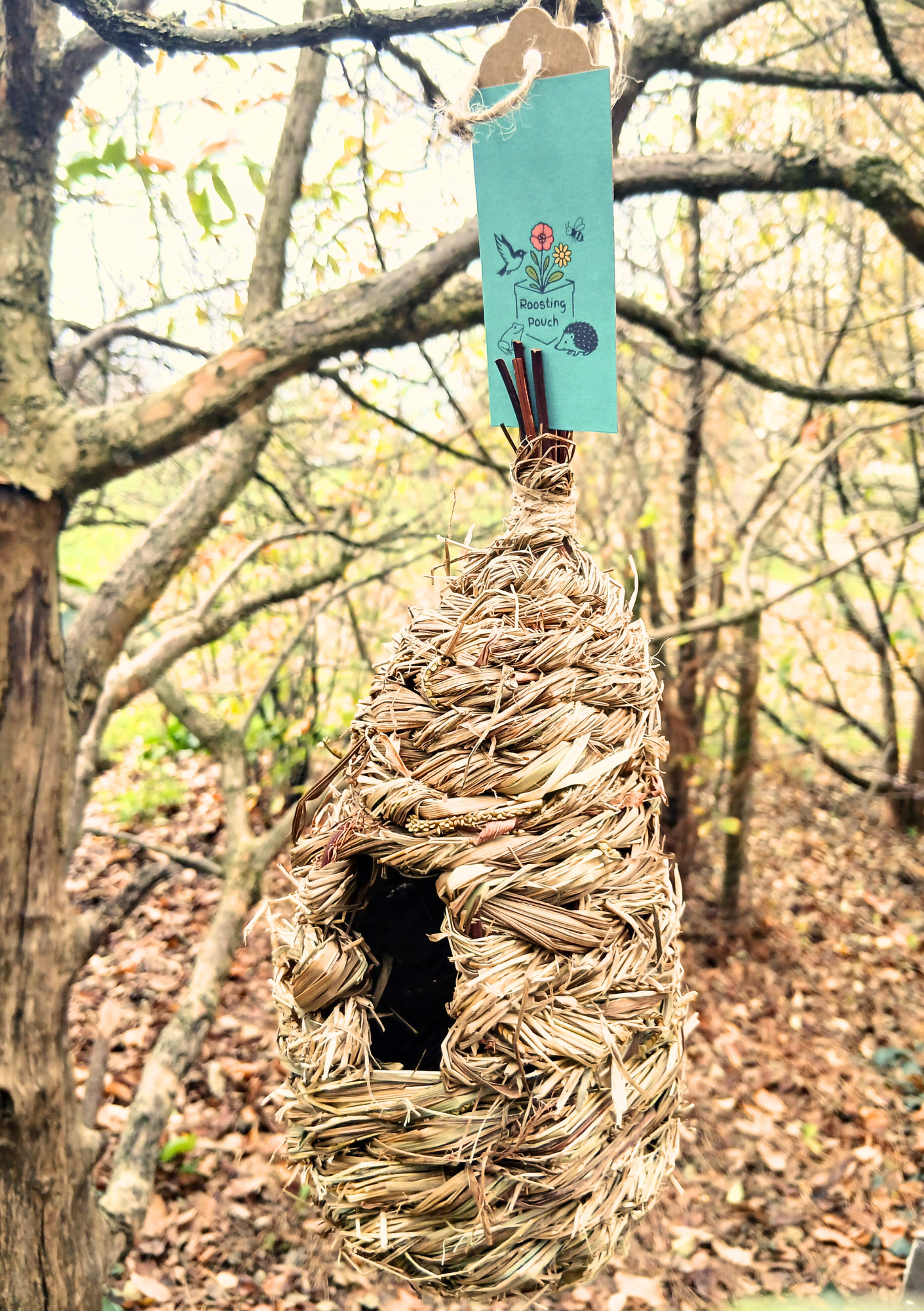 The Wild Winter Bird Box - turn your garden into a haven for birds!