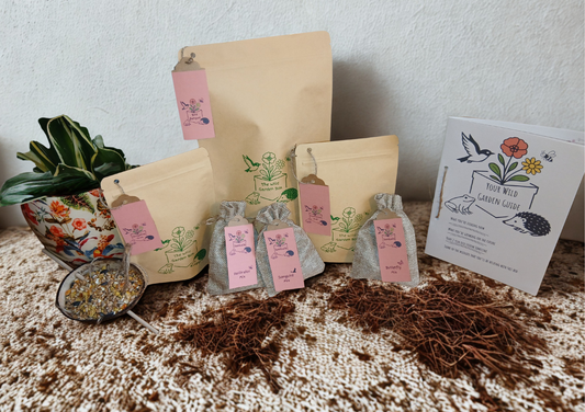 The Wild Autumn Box - Autumnal Wildflower Seedballs, Bird Feed & Hedgehog Food Gift Set