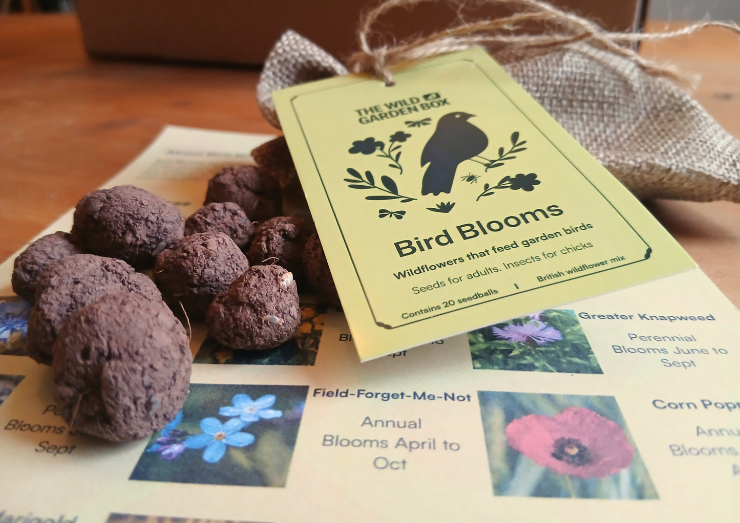 The Bird Haven Box